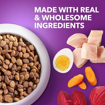 IAMS Advanced Health Healthy Digestion Adult Dry Dog Food with Real Chicken, 27 lb. Bag