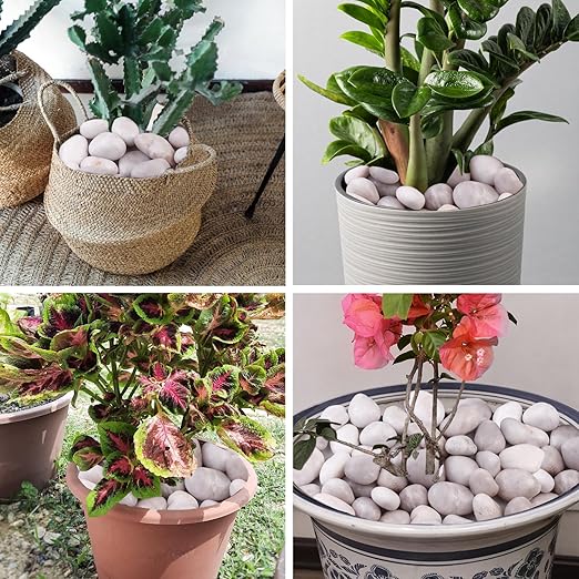 20Ib White River Rocks for Landscaping- High Polished Pebbles for Plants-Garden Decorative Stones-1-2 Large Plant Rocks,Ideal for Aquarium, Home Decor