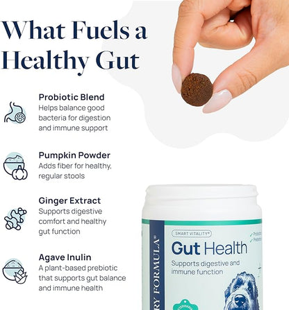 Veterinary Formula Gut Health Supplement for Dogs  Vet-Formulated Probiotic Chews with Digestive Enzymes & Fiber  Smart Vitality Supports Digestive Health, Gut Balance & Stool Quality, 60 Soft Chews