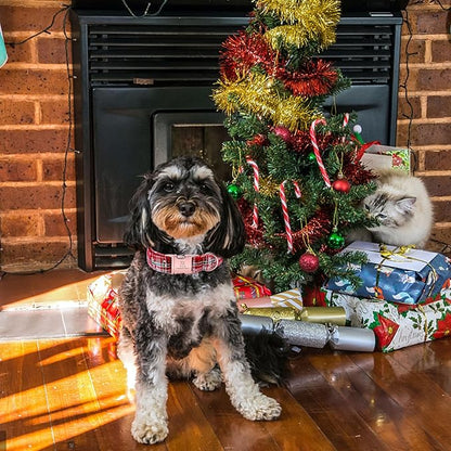 Lionheart glory Christmas Plaid Dog Collar, Dogs Collar Adjustable Soft and Comfortable Dog Collars for Large Dogs Girl or Boy Pet Gift Fall Collar Dog Collar