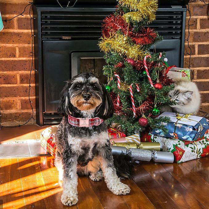 Lionheart glory Christmas Plaid Dog Collar, Dogs Collar Adjustable Soft and Comfortable Dog Collars for Small Dogs Girl or Boy Pet Gift Fall Collar Dog Collar
