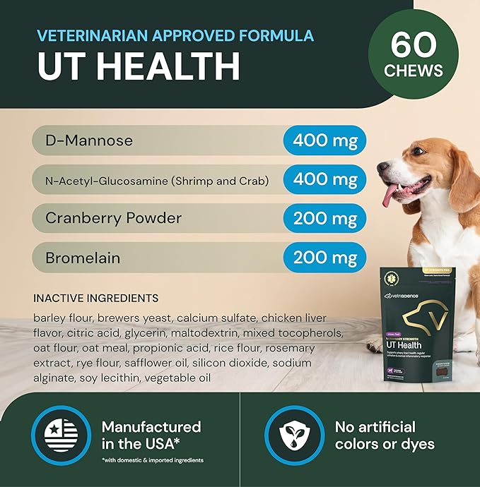 VETRISCIENCE Veterinary Strength UT Health Chews - Clinically Studied UT Support Supplement for Dogs - Supports Canine Urinary Health - Naturally Sourced - Features GanedenBC30-60 Count