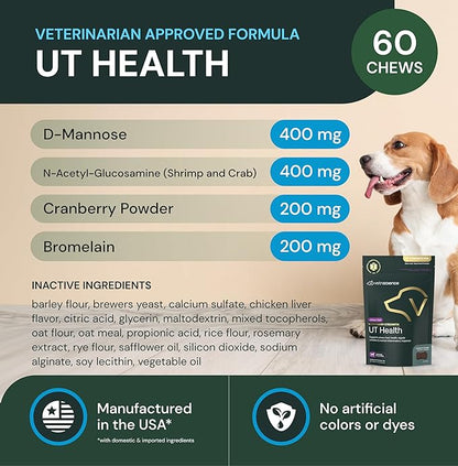 VETRISCIENCE Veterinary Strength UT Health Chews - Clinically Studied UT Support Supplement for Dogs - Supports Canine Urinary Health - Naturally Sourced - Features GanedenBC30-60 Count
