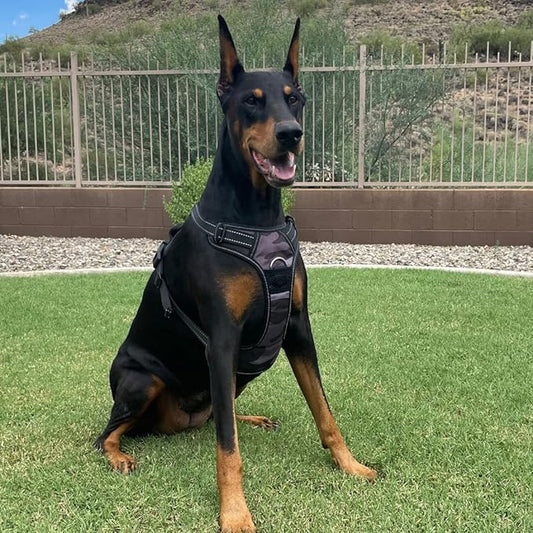 4Knines No Pull Dog Harness for Medium Dogs  Adjustable Reflective Harness with Front & Back Leash Clips  Durable, Easy Control for Walks & Training (Camo)