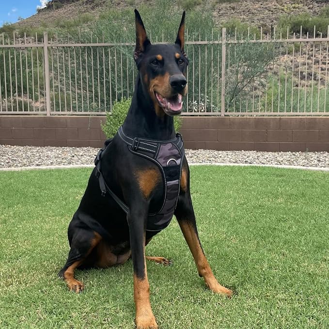 4Knines No Pull Dog Harness for Large Dogs  Adjustable Reflective Harness with Front & Back Leash Clips  Durable, Easy Control for Walks & Training (Camo)