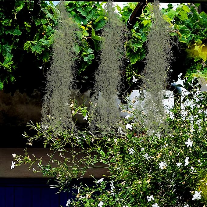 36 Inch Hanging Moss Decor - 1 Pcs Fake Moss - Artificial Plastic Spanish Dried Hanging Vine for Potted Plants Crafts Green Vines