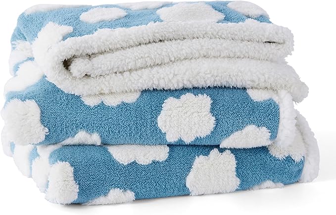 Lesure Waterproof Dog Blanket for Large Dogs - Washable Double Sided Dog Blankets with Warm Jacquard Shag and Soft Sherpa Fleece, Pet Cat Blanket for Queen Bed Protection, 3D Textured Cloud, Blue