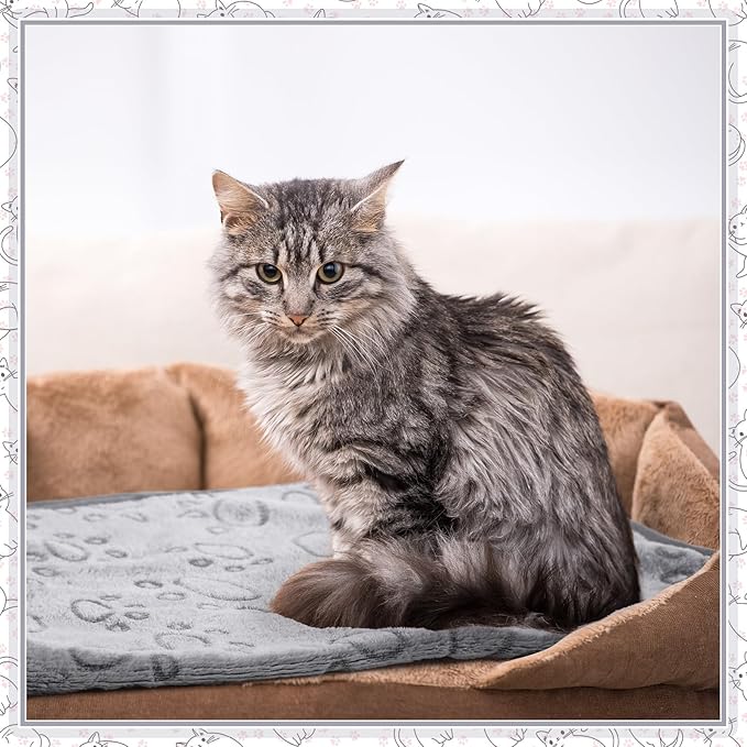 Tegeme 12 Pieces Pet Blanket Soft Fleece Dog Fluffy Doggie Warm Felt Throw Spring Cute Paw Print Puppy Kitten Sleep Mat Bed Covers for Cat(23 x 16 Inch,Gray)