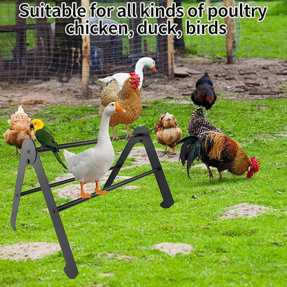 Adjustable Chicken Perch for Coop, Chicken Perches Roosting Bar, Metal Chick Roosting Bars for Brooder, Chicken Roosting Perch, Baby Chick Toys Training Perches for Hens Birds, Black