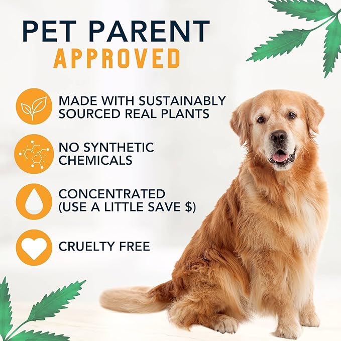 4 Legger Certified Organic to Food Standards Revitalize Neem with Sweet Orange Essential Oil Pet Shampoo 16 oz