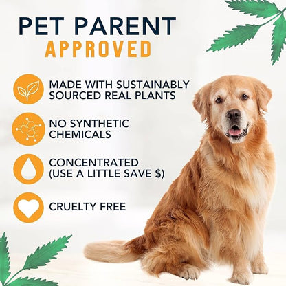 4 Legger Certified Organic to Food Standards Revitalize Neem with Sweet Orange Essential Oil Pet Shampoo 16 oz
