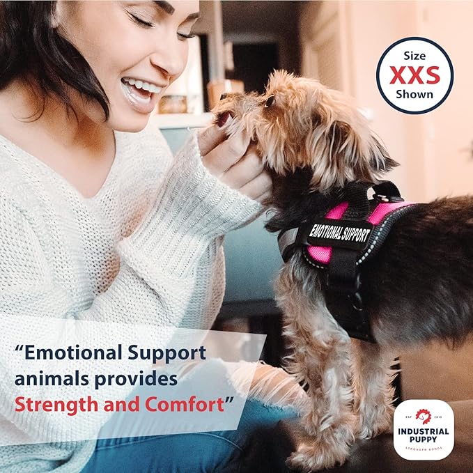 Emotional Support Dog Vest Harness with Reflective Straps, Interchangeable Patches, & Top Handle - ESA Dog Vest in 8 Sizes - Heavy Duty Emotional Support Dog Harness for Working Dogs (Pink, XS)