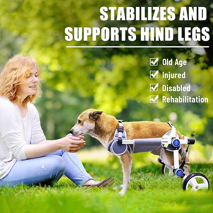 Dog Wheelchair, Adjustable Dog Wheelchair for Back Legs, Stable Dog Cart for Disabled Hind Legs, Help Small Pets with Paralyzed Hind Legs Regain Mobility