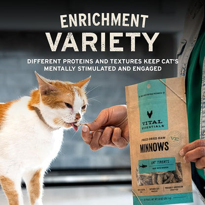 Vital Essentials Chicken Breast Cat Treats, 2.1 oz | Freeze-Dried Raw | Single Ingredient | Grain Free, Gluten Free, Filler Free