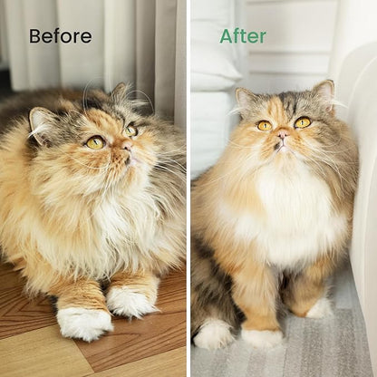 PawRake, Cat and Dog Brush for Shedding and Undercoat Dematting, Pet Grooming Tool for Medium to Long Hair Pets, Skin-Safe and Lightweight