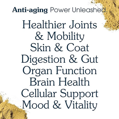 Senior Dog Powder Supplement & Food Topper – 63 Ingredients for Joint, Gut, Immune & Brain Health – Daily Longevity Multivitamin with Glucosamine, Probiotics, and Fish Oil | 120 Scoops