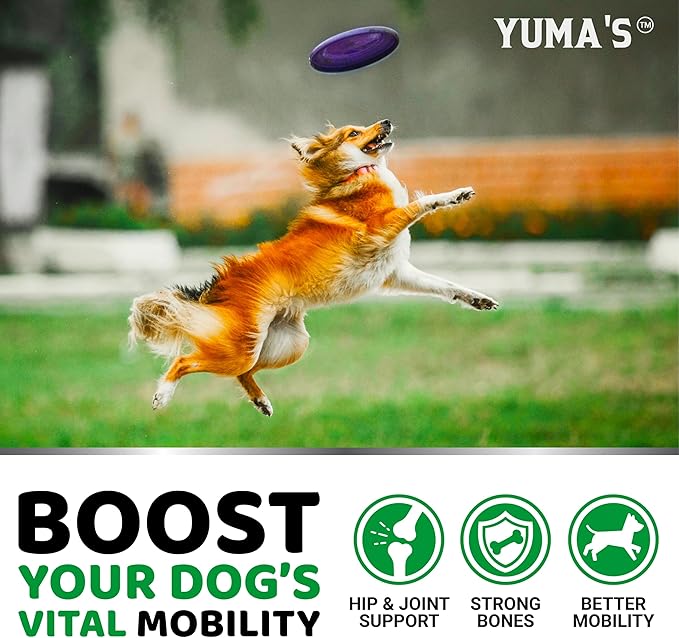 Glucosamine for Dogs - 240 Chews - Hip and Joint Supplement for Dogs - Advanced Glucosamine Chondroitin Treats with MSM - Joint Pain Relief - Large & Small Breed - Mobility Support - Made in USA