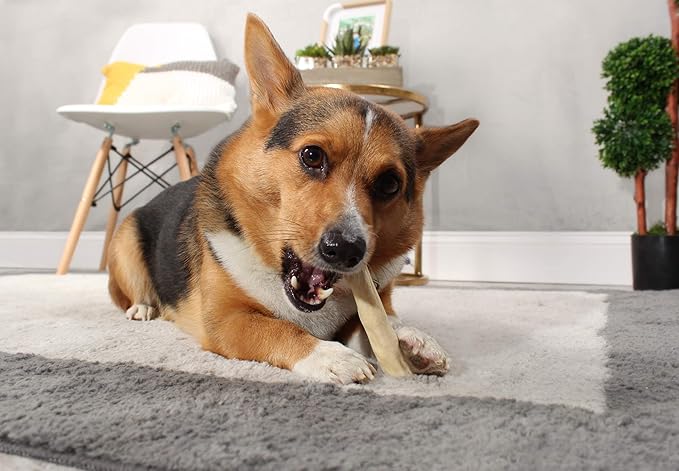 Water Buffalo Tails 100% Natural Dog Treats, 6 Inch, 16 Oz. Bag