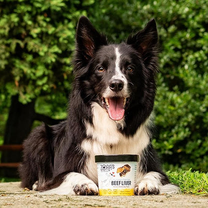 Zora's Best Friendz 100% Human Grade Freeze Dried Beef Liver Dog Treats, 3 oz. - Small, Medium & Large Dogs, Healthy, Grain-Free, Gluten-Free, No Preservatives, Made in The USA