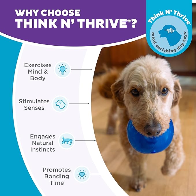 Outward Hound by Planet Dog Lil' Snoop Interactive Treat Dispensing Dog Toy, Small, Royal Blue