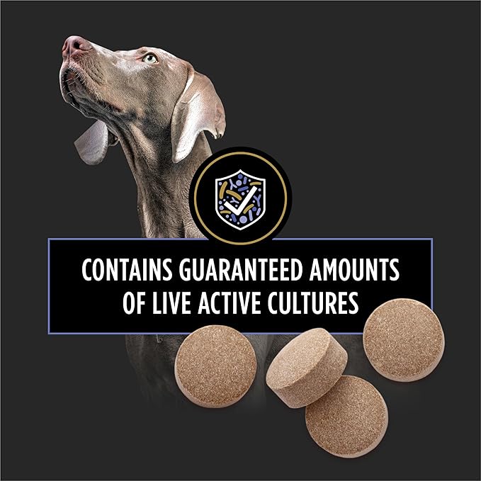 Purina Pro Plan Veterinary Supplements FortiFlora Chewable Dog Probiotic Supplement Tablets - 45 ct. Canister