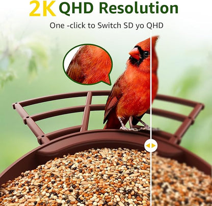 PeckCam® Smart Bird Feeder with Camera 2K HD Auto Detect & Notify, AI Identify 10000+ Birds Camera with Solar Panel 5 Perch Attachments Wireless Outdoor Birdwatching Gift for Birds Lover, Red