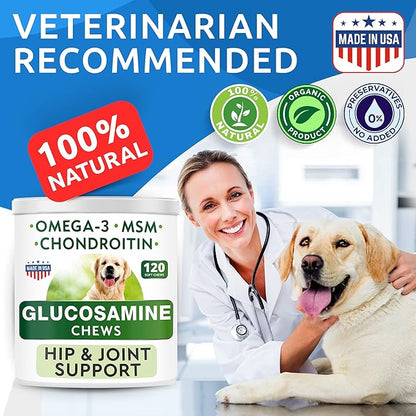 Glucosamine Chondroitin Dog Hip & Joint Supplement - Joint Pain Relief - Hip & Joint Chews for Dogs - Joint Support Large Breed - Senior Doggie Vitamin Pills Joint Health - (240 Treats - Chicken)