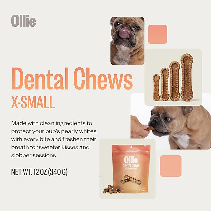Ollie Dental Chews for Extra Small Dogs, 12 Oz, Fresh Breath, Teeth Cleaning Treats, Sticks for Dog Oral Care, with Parsley and Cinnimon, for Pups 5-15 lbs