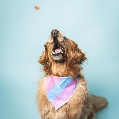 Bundle x Joy Ride & Vibe Dog Treats Salmon Jerky Snack Bars, 16 oz Bag, Puppy Training Treats, Natural Superfood Grain Free, Wild Caught Salmon, Superfoods, Corn, Poultry & Soy Free