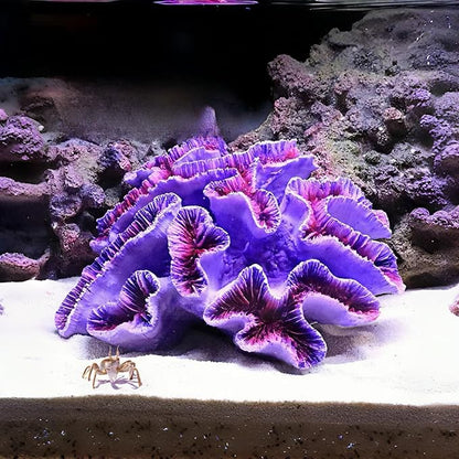 Fish Tank Coral Decoration - Aquarium Simulation Fighting Fish Dodge Cave - Betalie Fish Home Colorful Mountain (Large Purple Coral)