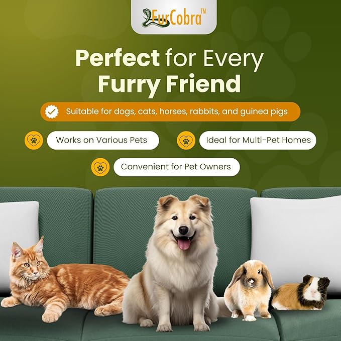 Direct 10 Pet Grooming Brush - Gentle, No Metal Blades, Soft Dog Brush, Cat Brush - Train Pets to be Brushed - Slicker Pet Brush, Puppy Brush, Kitten Brush, Cat Hair Brush, Dog Hair Brush