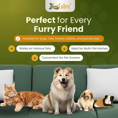 Direct 10 Pet Grooming Brush - Gentle, No Metal Blades, Soft Dog Brush, Cat Brush - Train Pets to be Brushed - Slicker Pet Brush, Puppy Brush, Kitten Brush, Cat Hair Brush, Dog Hair Brush