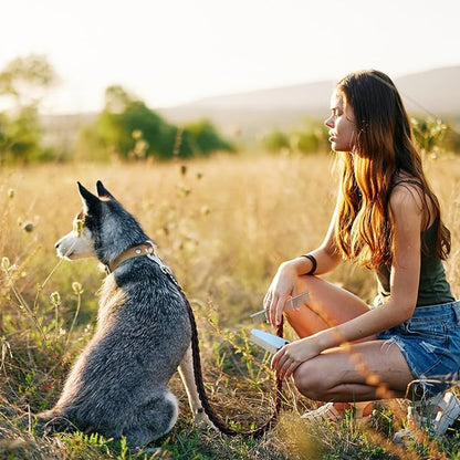 Yaomiao Pet Grooming Brush Kit, Includes 9 Pcs Self Cleaning Slicker, Dog Brush Shedding and Flea Comb, Nail Clippers and File, with Adjustable Strap Scissors, Bright Color