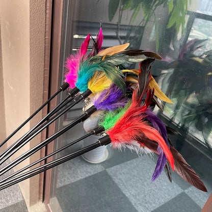 10-Pack Cat Feather Wand Toys with Bell, Natural Feather Interactive Teaser for Indoor Kittens Friendly Cat Toy