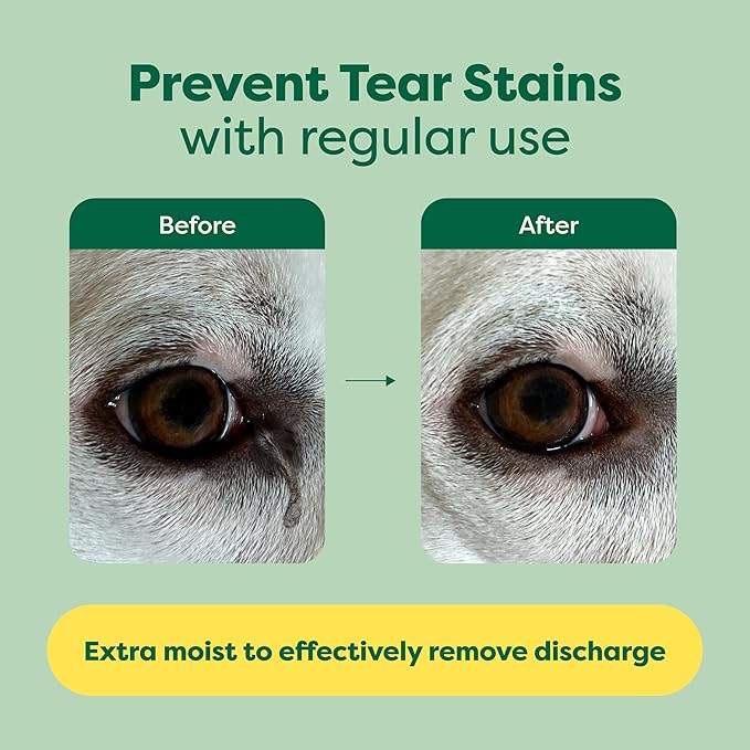 Earth Rated Vet-Developed Pet Eye Wipes, Hypoallergenic Cleaner for Dogs & Cats Eyes to Remove Dirt & Discharge, Fragrance Free, 70 Count