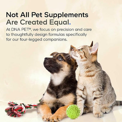 Wild Alaskan Salmon Oil for Dogs - EPA, DHA, Omega 3 & 6 Fatty Acids for Pets - Liquid Fish Oil Supplement for Dogs - All Breeds - 8 fl oz