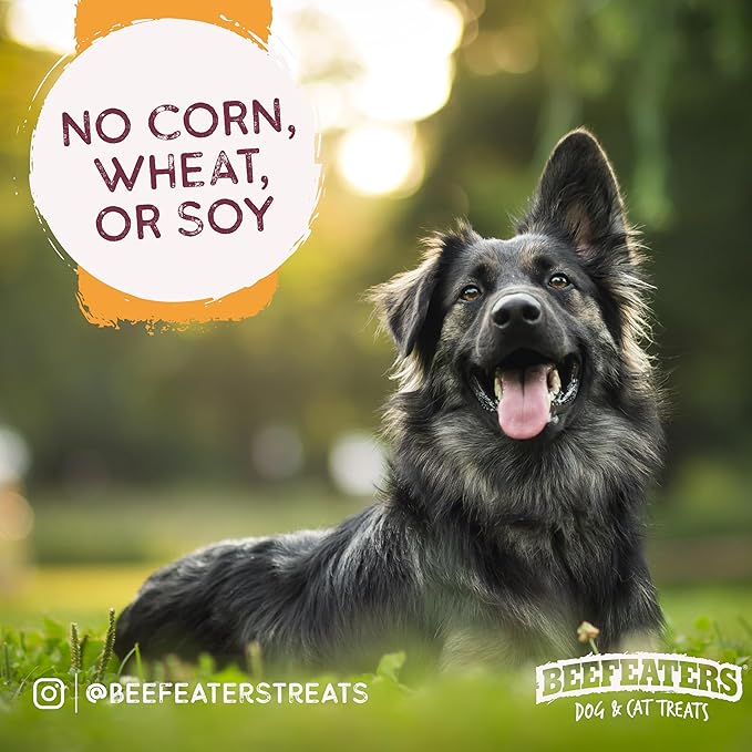 Beefeaters Dog Treats - Beefh 5in Twist with Chicken 26oz | Dog Food High Protein, Low Fat, Enriched with Vitamins & Minerals | Promotes Clean Teeth | Dog Training Treats for All Dog Sizes (Pack of 2)