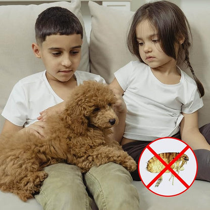 Pet Steel Combs Dog Cat Comb Tool, Dandruff Comb, Multifunction Stainless-Steel Fine-Tooth Grooming Comb Cat Dog Pet Grooming Scalp Effectively Get Rid of Hair Nits (Grooming Comb)