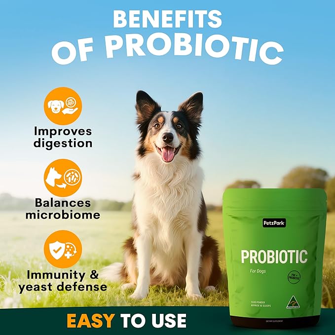 Probiotic for Dogs - Grain-Free Digestive Support Powder for Diarrhea, Bloating & Gas - Promotes Immune Support & Oral Health - Reduces Paw Licking, Allergies & Yeast Infections - 5.4 oz - 90 Scoops