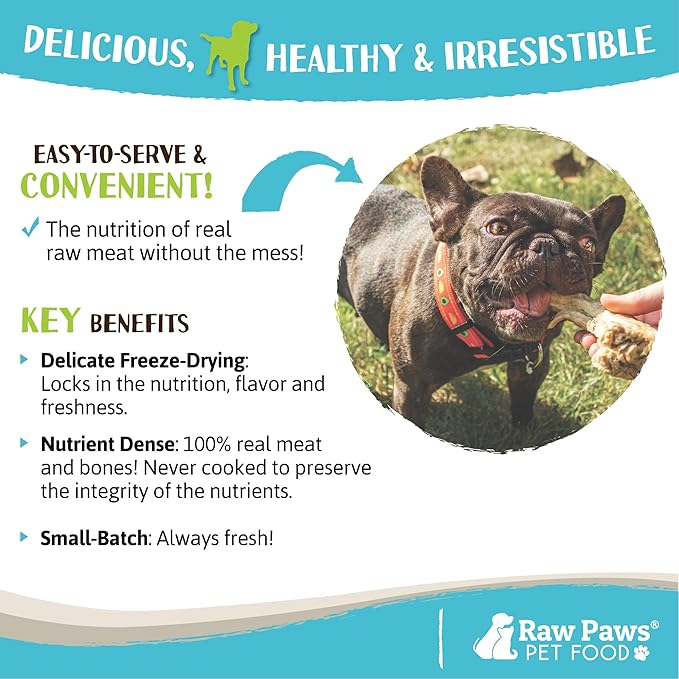 Raw Paws Freeze-Dried Turkey Necks for Dogs, 4-oz (3 Count) - Made in USA - Single Ingredient Dog Chew - Raw Freeze Dried Dog Treats - Dog Freeze Dried Treats - Freeze Dried Treats for Dogs