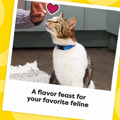 Temptations MixUps Backyard Cookout Flavor Crunchy and Soft Cat Treats, 16 oz. Tub