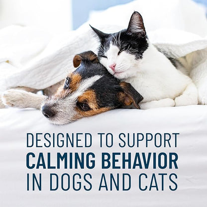 Nutramax Solliquin Calming Behavioral Health Supplement for Small to Medium Dogs and Cats - With L-Theanine, Magnolia / Phellodendron, and Whey Protein Concentrate, 75 Soft Chews