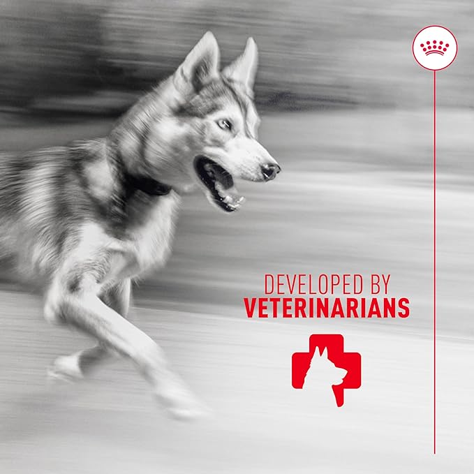 Royal Canin Joint Dog Supplement Soft Chews for Adult Dogs, 60 Count