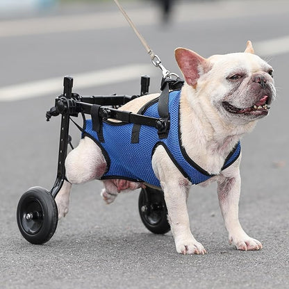 Dog Wheelchair for Back Legs Adjustable Dog Wheelchairs with 2 Wheels Pet Doggy Wheelchairs with Disabled Hind Legs Walking-Dog Leg Brace and Hip Support, Light Weight