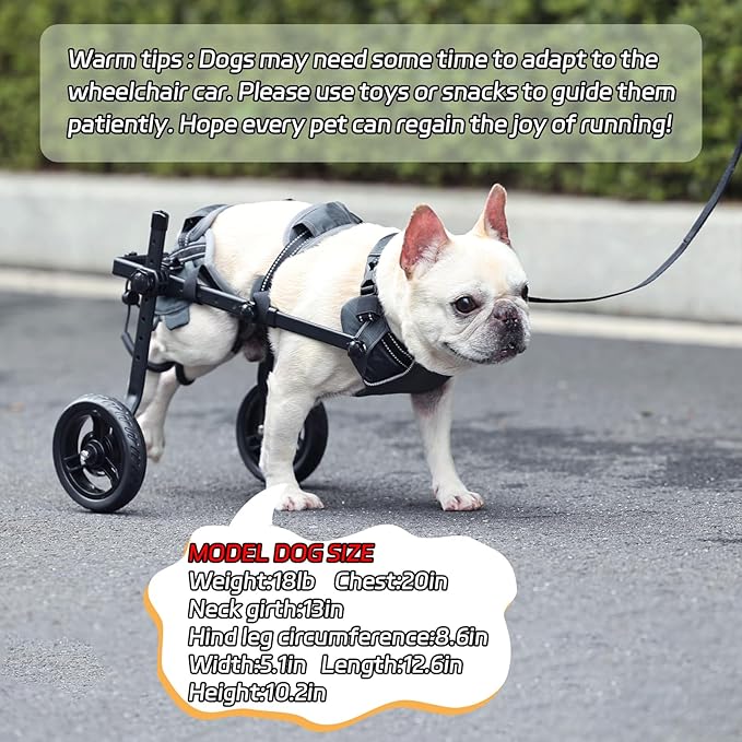 BECEMURU Dog Wheelchair for Back Legs, Doggy/Cat Wheelchair with Disabled Hind Legs Walking, Lightweight with Protective Vest Mobility Aids for Small Pets Hind Limbs (Small)