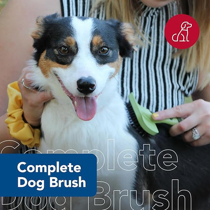 Coastal Pet Safari Complete Dog Brush - 2-in-1 Design Dog Slicker Brush with Grooming Bristles - Detangling & Dematting Dog Brush - One Size