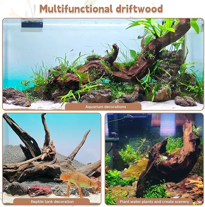 PINVNBY Large Driftwood for Aquarium Fish Tank Decorations Natural Assorted Branches Bearded Dragon Tank Accessories Terrarium Decor for Aquarium Decor (11-18 inches/1 Pack)