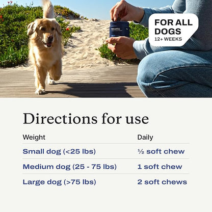 Petlab Co. Joint Care Chews for Dogs - High Levels of Glucosamine, Green Lipped Mussels, Omega 3 and Turmeric - Hip and Joint Supplement for Dogs to Actively Support Mobility, Packaging May Vary