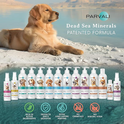 2 in 1 Natural Dead Sea Dog Shampoo & Conditioner (250 ml, 8.45 fl oz). Unique Odor-Neutralizing Blend. Minerals Rich, Anti-Oxidative, Antiseptic Formula for Gentle, Easy Application. Enjoy!