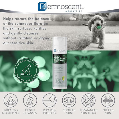 Dermoscent PYOclean Shampoo for Dogs & Cats - Anti-Itch Sensitive Formula to Control Skin Infections & Allergy Symptoms - 200 ml